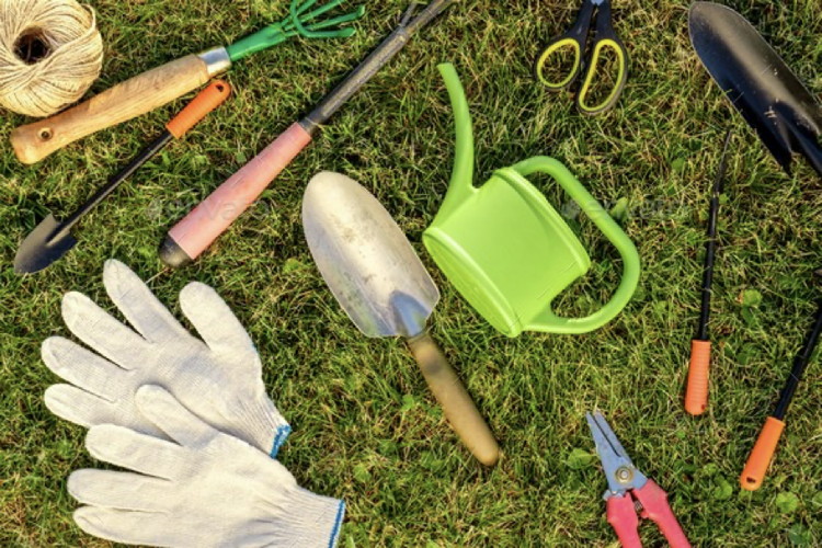 Welche Werkzeuge brauchen Anfänger im Garten?